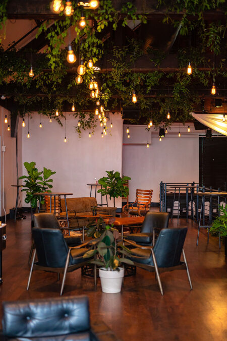 {{brizy_dc_image_alt imageSrc=